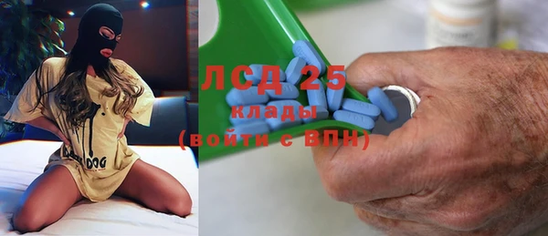 PSILOCYBIN Липки