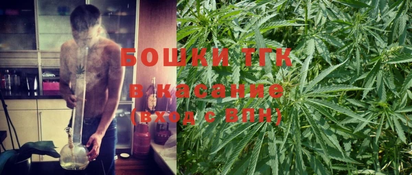 PSILOCYBIN Липки