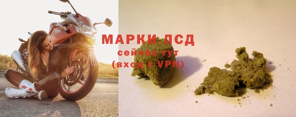 PSILOCYBIN Липки