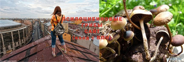 круглые Лихославль