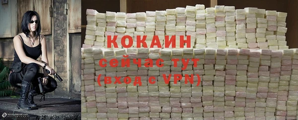 PSILOCYBIN Липки