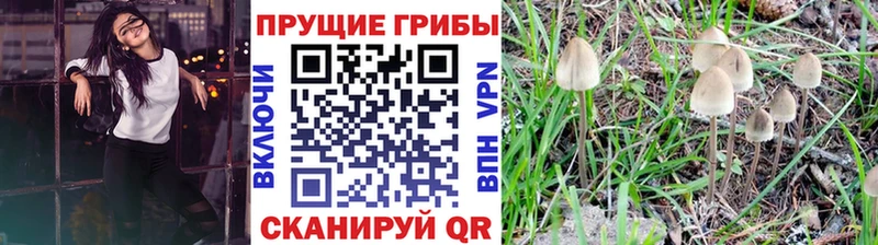 Псилоцибиновые грибы Psilocybine cubensis  МЕГА маркетплейс  Ряжск  магазин   